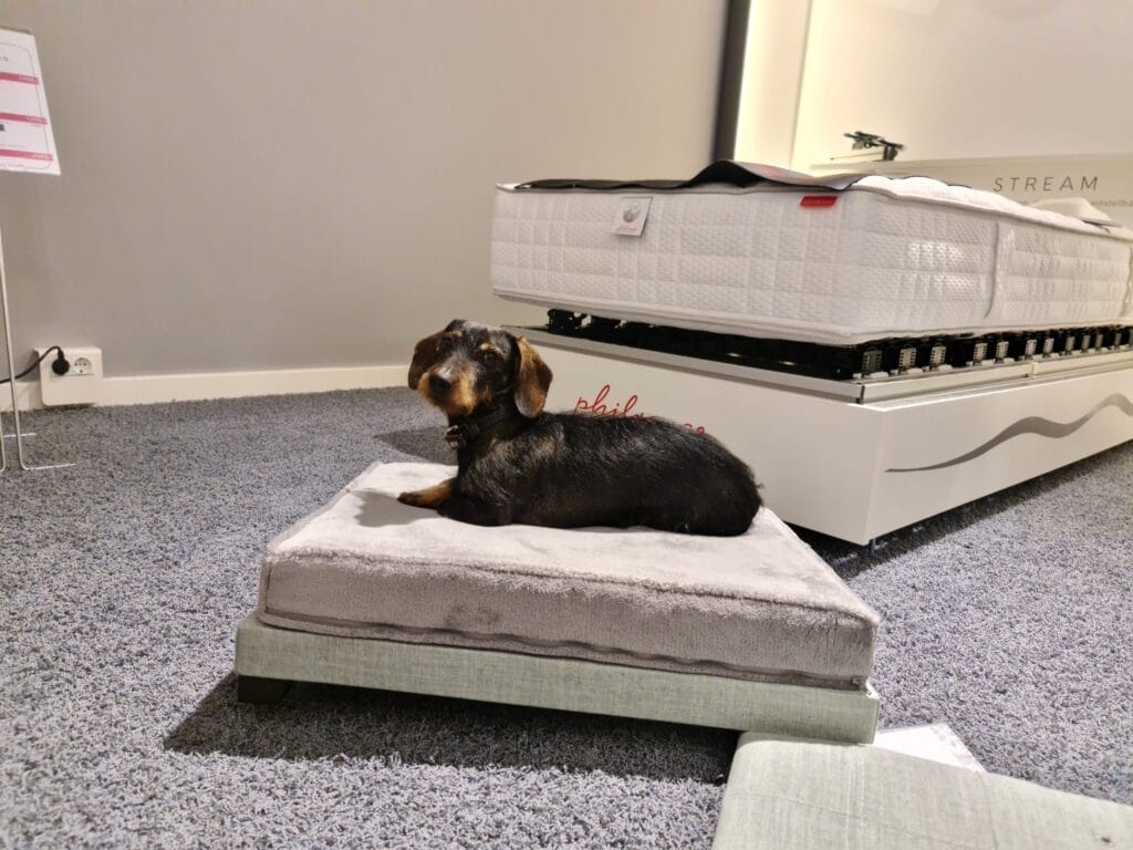 03 2024 05 07 arthurs boxspringbett da bleibe ich