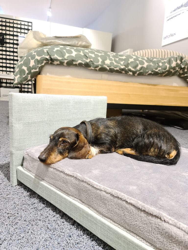 06 2024 05 07 arthurs boxspringbett endlich ruhe und geniessen