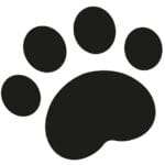 06 2024 05 07 arthurs boxspringbett footprint