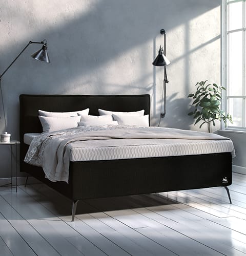 svane landingpage topic betten kontinental